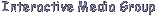 Interactive Media Group